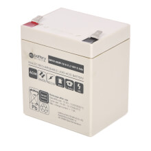 12V 5.5Ah Akku, Hochstrom, AGM Bleiakku, battery-direct, 90x70x101 (lxbxh), Pol T2 Faston 250 (6,3mm)